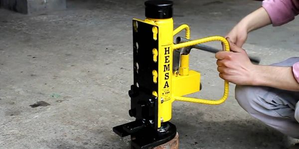 Pehlivan Kriko Satın Alırken Dikkat Edilmesi Gerekenler